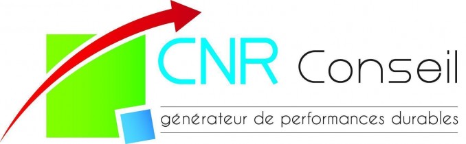  - cnrconseil.com